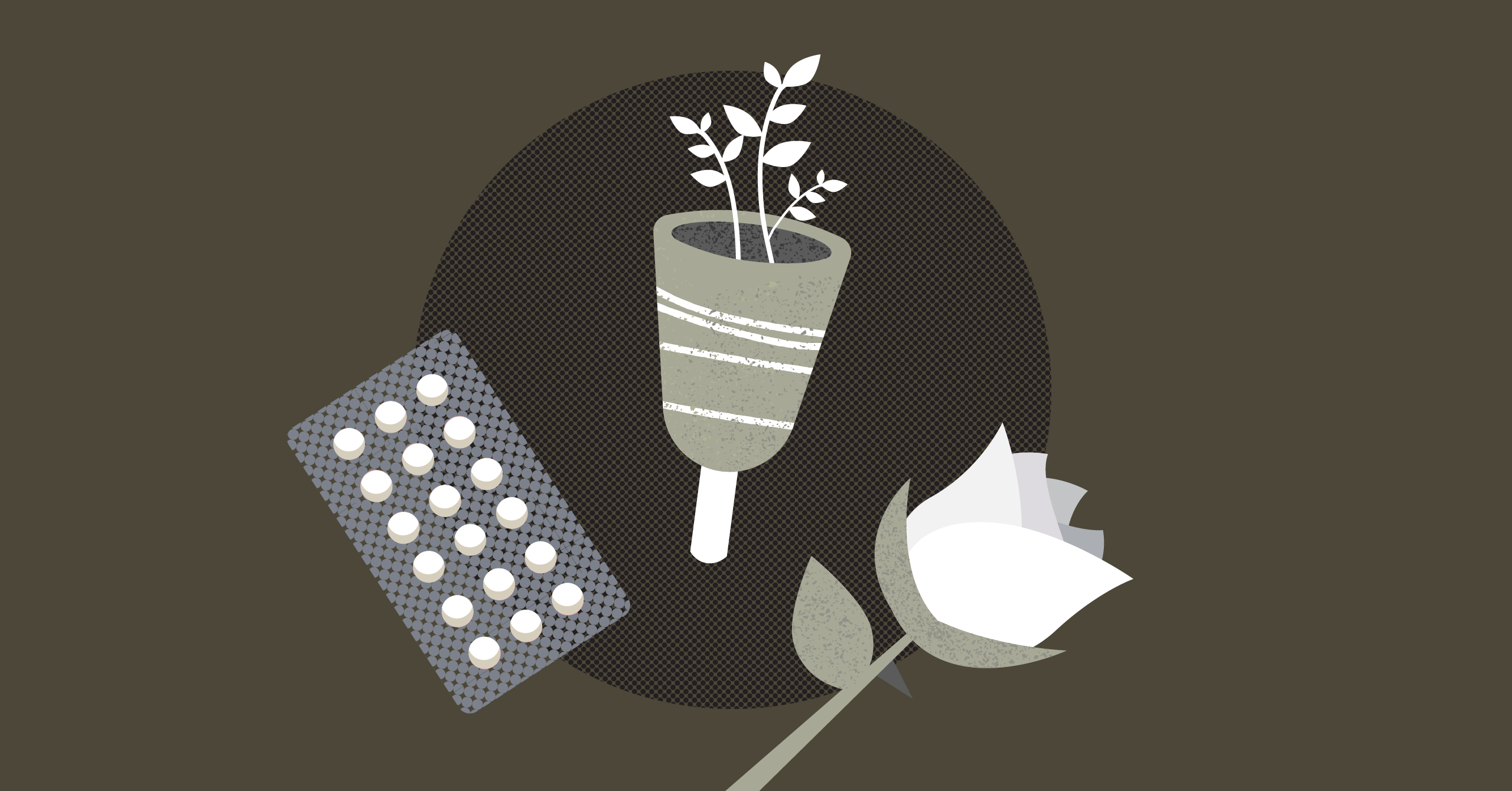 3 Brands That Found Online Business Sucess in Feminine Hygiene