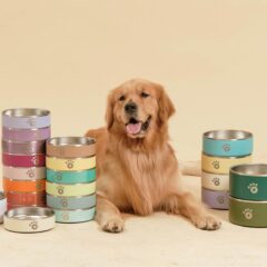 Starting as an online business offering personalized dog bowls, the pet care brand has pivoted to physical stores as well as adding more products to its lineup. 